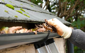gutter cleaning South Down