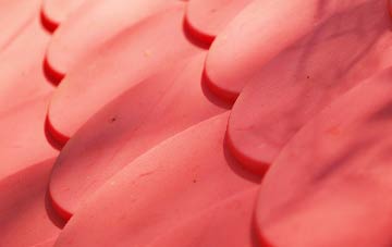 South Down plastic roof costs