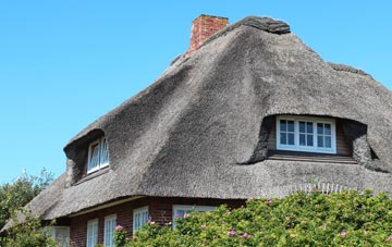 thatch roofing South Down
