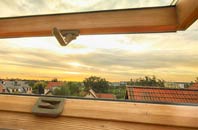 rated South Down roof window companies